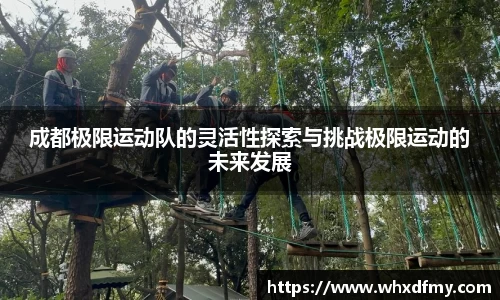 成都极限运动队的灵活性探索与挑战极限运动的未来发展